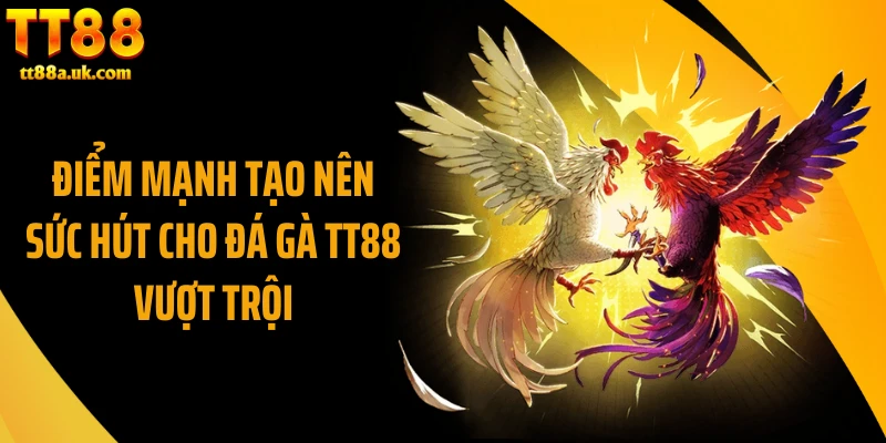 Điểm mạnh tạo nên sức hút cho đá gà TT88 vượt trội