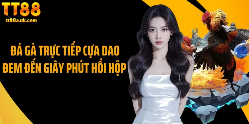 Đá gà trực tiếp cựa dao đem đến giây phút hồi hộp 