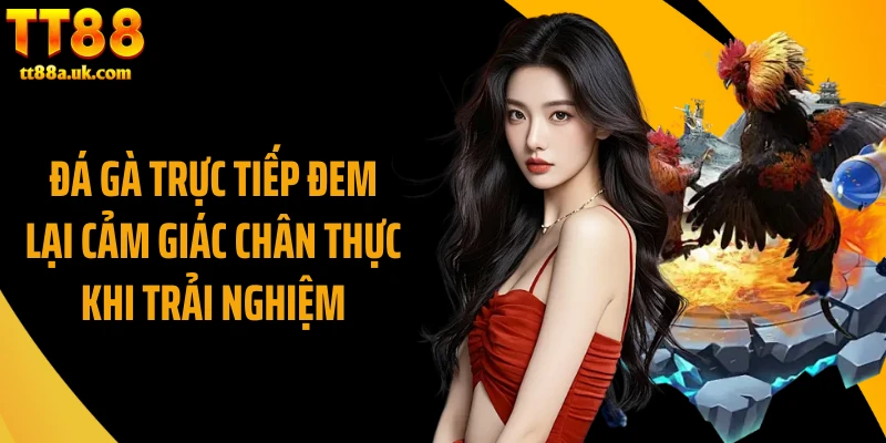 Đá gà trực tiếp đem lại cảm giác chân thực khi trải nghiệm